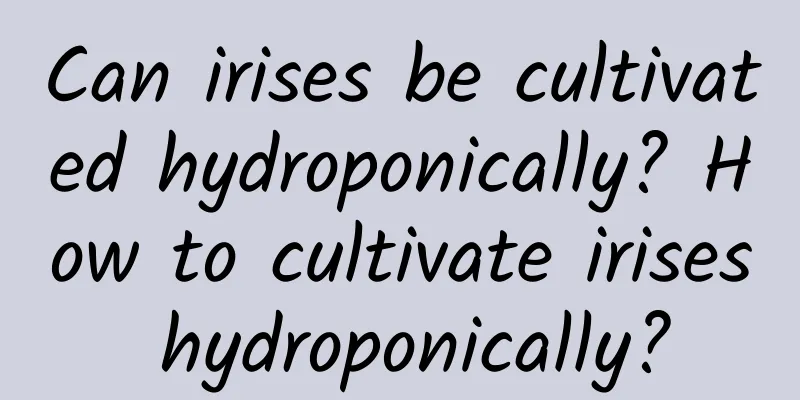 Can irises be cultivated hydroponically? How to cultivate irises hydroponically?