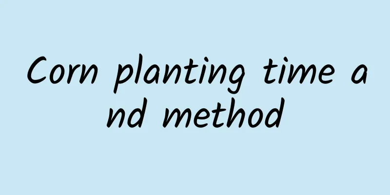 Corn planting time and method