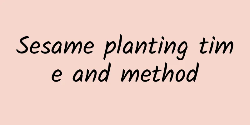 Sesame planting time and method