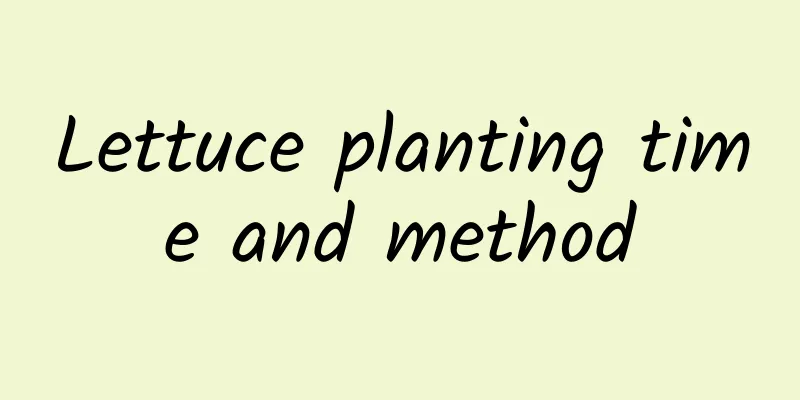 Lettuce planting time and method