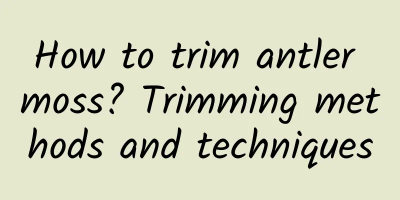 How to trim antler moss? Trimming methods and techniques