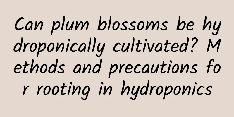 Can plum blossoms be hydroponically cultivated? Methods and precautions for rooting in hydroponics