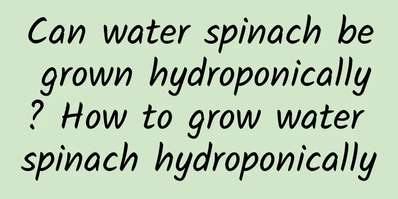 Can water spinach be grown hydroponically? How to grow water spinach hydroponically