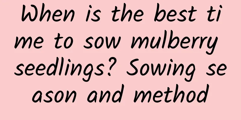 When is the best time to sow mulberry seedlings? Sowing season and method