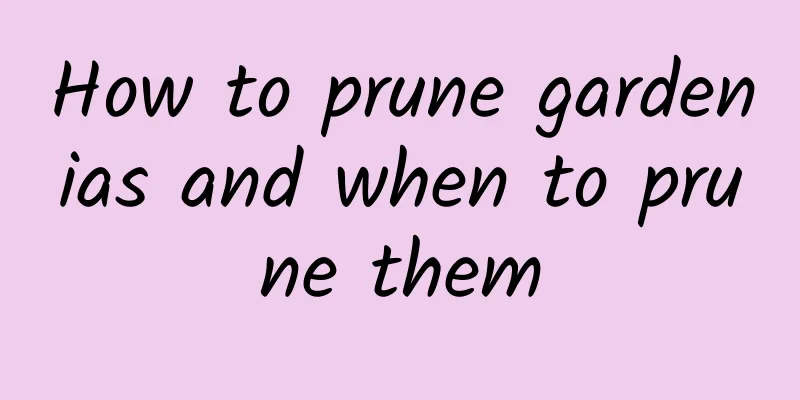How to prune gardenias and when to prune them