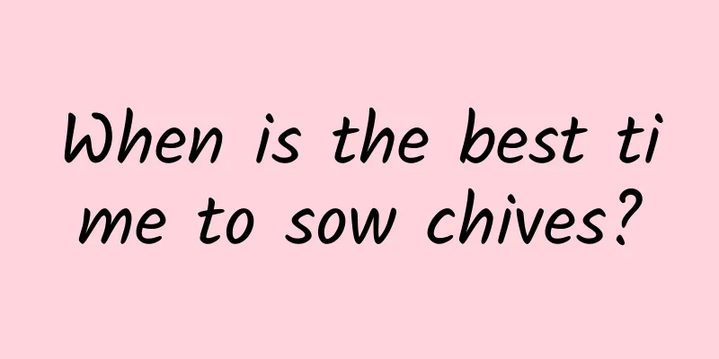 When is the best time to sow chives?