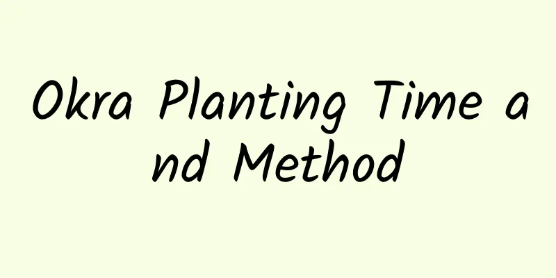 Okra Planting Time and Method