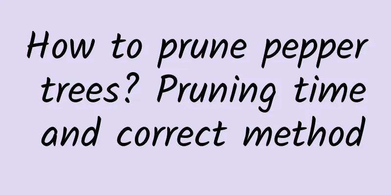 How to prune pepper trees? Pruning time and correct method