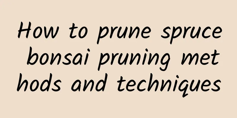 How to prune spruce bonsai pruning methods and techniques