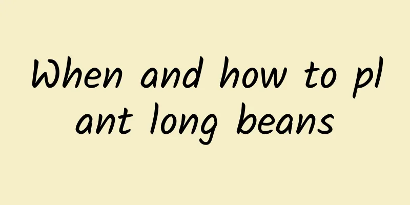 When and how to plant long beans