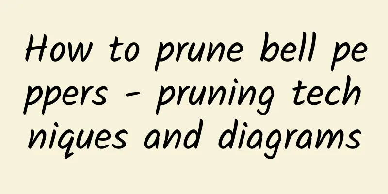 How to prune bell peppers - pruning techniques and diagrams