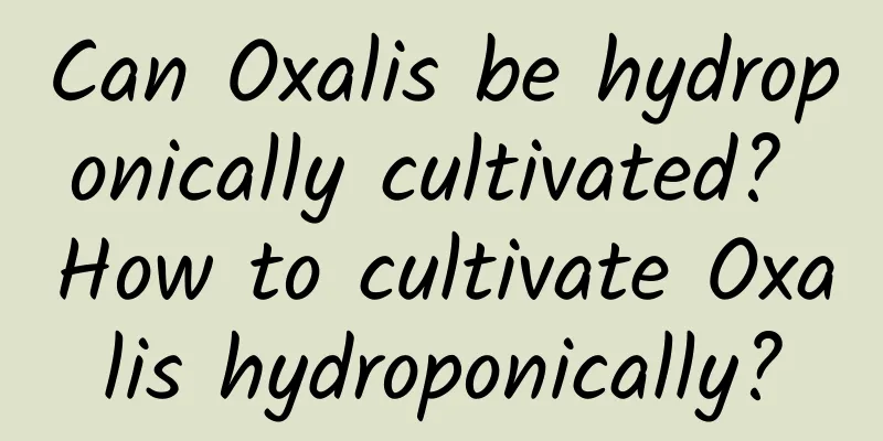 Can Oxalis be hydroponically cultivated? How to cultivate Oxalis hydroponically?