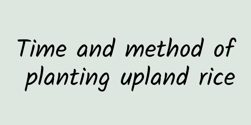 Time and method of planting upland rice