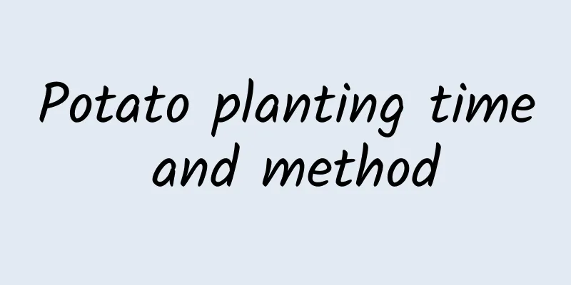 Potato planting time and method