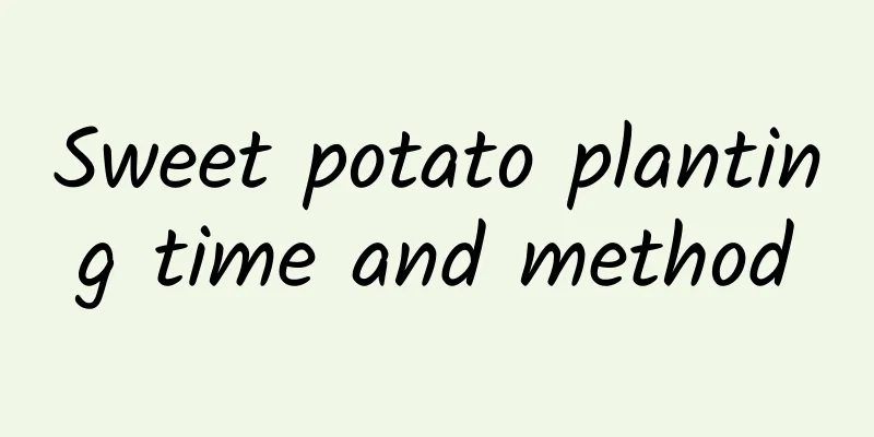 Sweet potato planting time and method