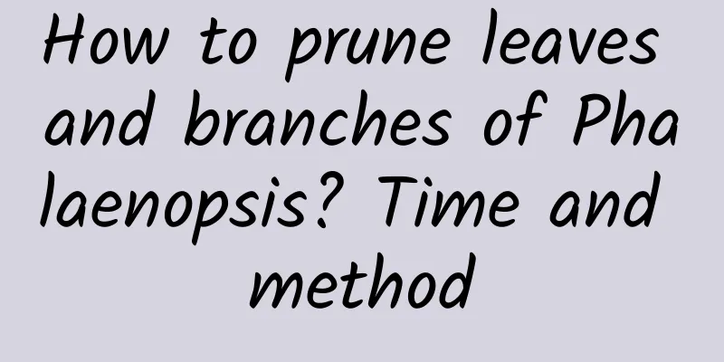 How to prune leaves and branches of Phalaenopsis? Time and method