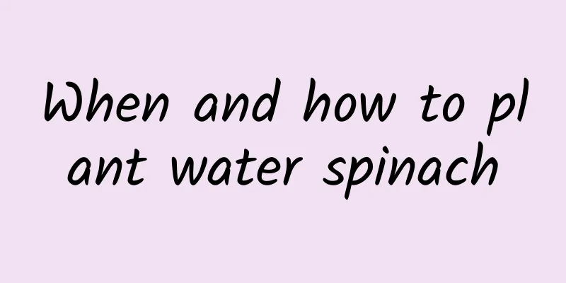 When and how to plant water spinach
