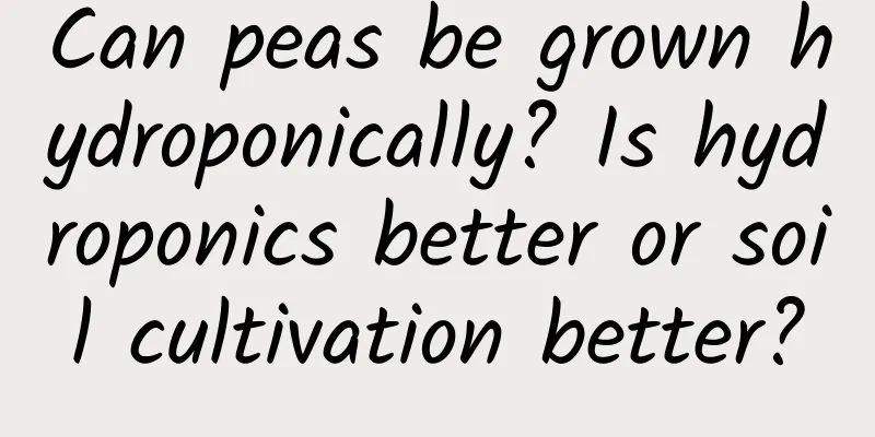 Can peas be grown hydroponically? Is hydroponics better or soil cultivation better?