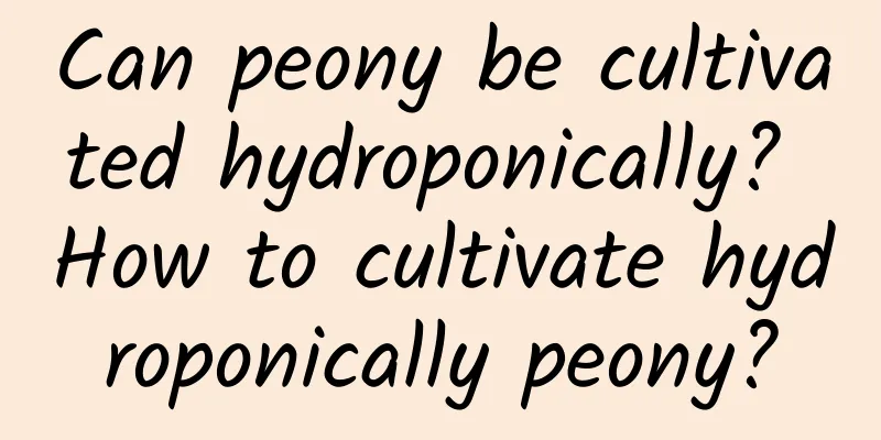 Can peony be cultivated hydroponically? How to cultivate hydroponically peony?