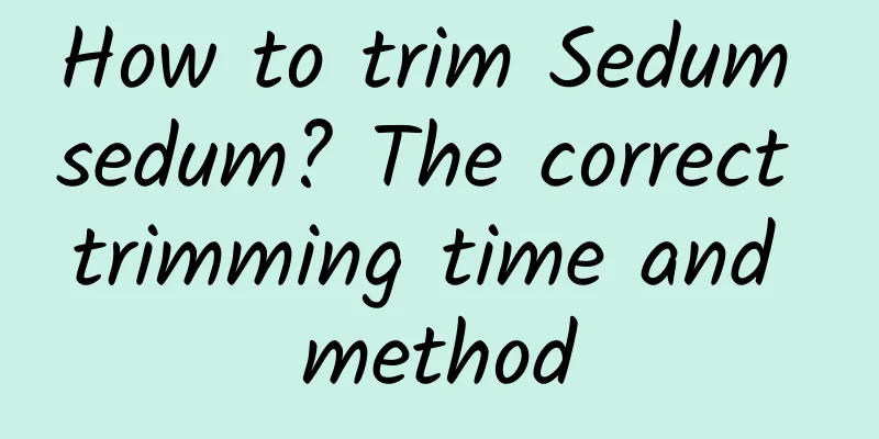How to trim Sedum sedum? The correct trimming time and method