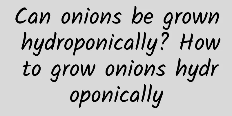 Can onions be grown hydroponically? How to grow onions hydroponically