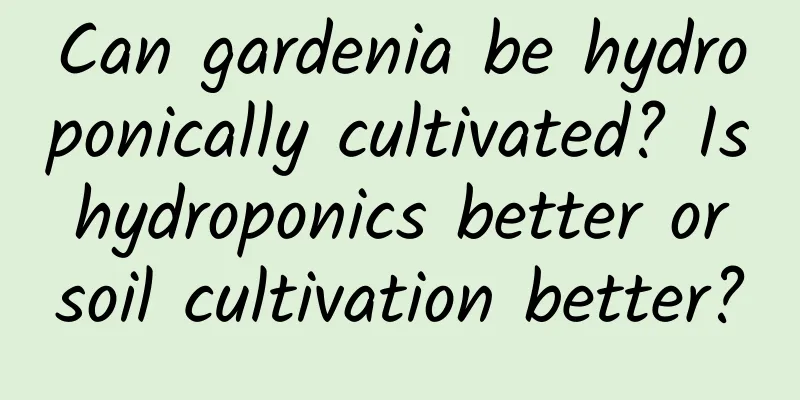 Can gardenia be hydroponically cultivated? Is hydroponics better or soil cultivation better?