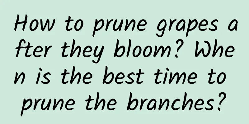How to prune grapes after they bloom? When is the best time to prune the branches?