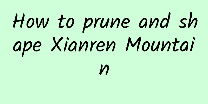 How to prune and shape Xianren Mountain