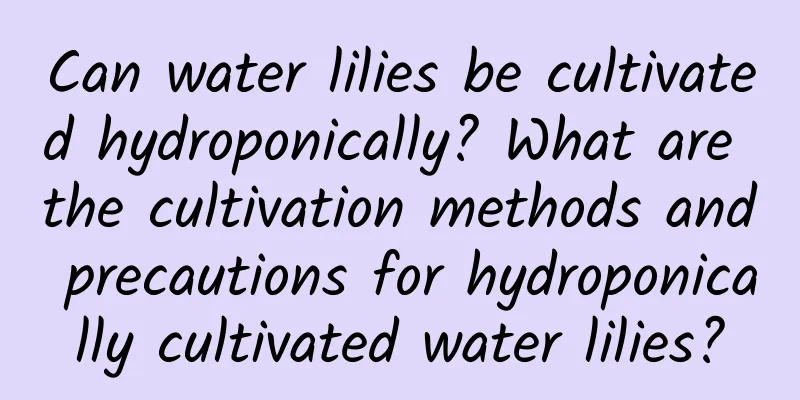 Can water lilies be cultivated hydroponically? What are the cultivation methods and precautions for hydroponically cultivated water lilies?