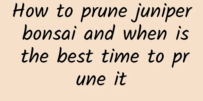 How to prune juniper bonsai and when is the best time to prune it