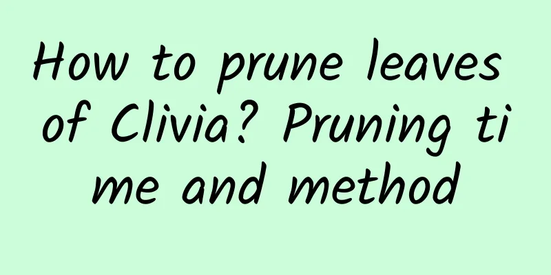 How to prune leaves of Clivia? Pruning time and method