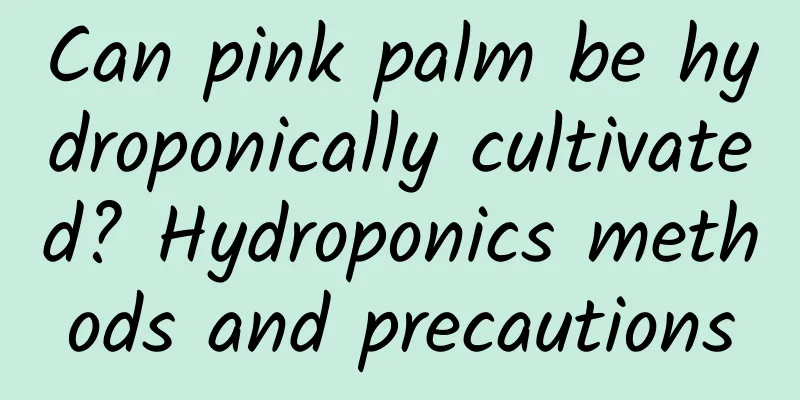 Can pink palm be hydroponically cultivated? Hydroponics methods and precautions