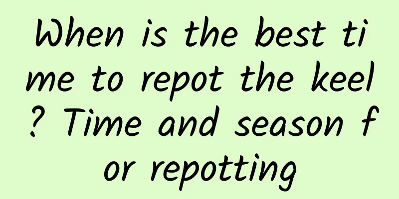 When is the best time to repot the keel? Time and season for repotting