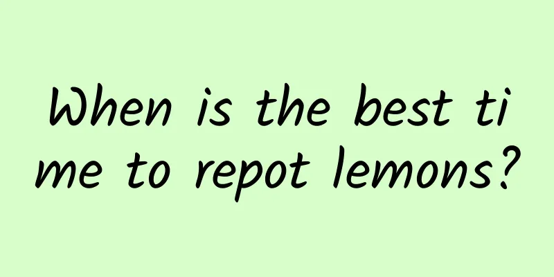When is the best time to repot lemons?
