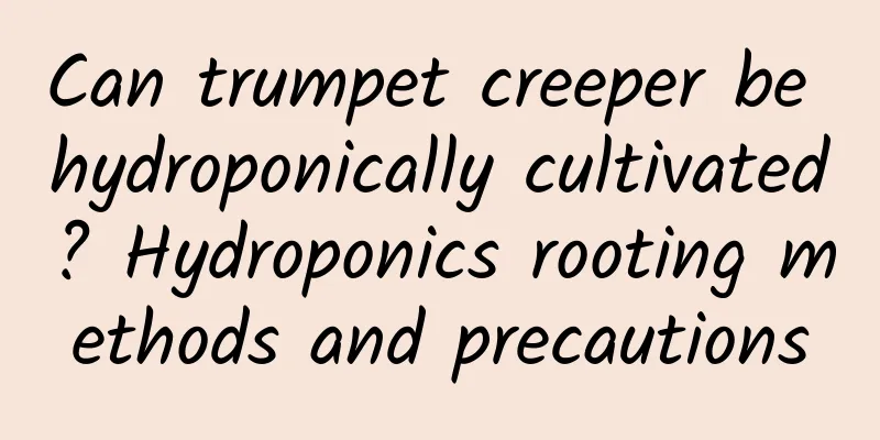 Can trumpet creeper be hydroponically cultivated? Hydroponics rooting methods and precautions