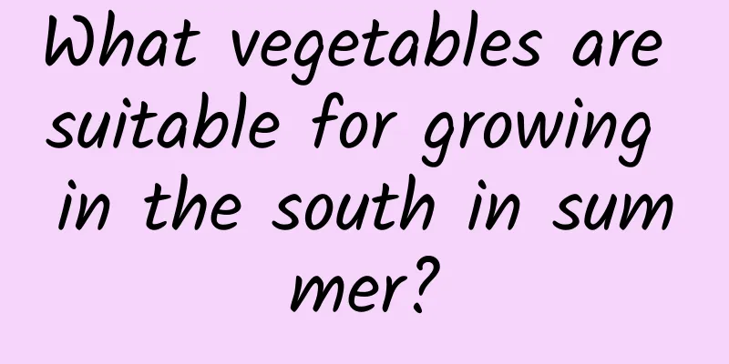 What vegetables are suitable for growing in the south in summer?