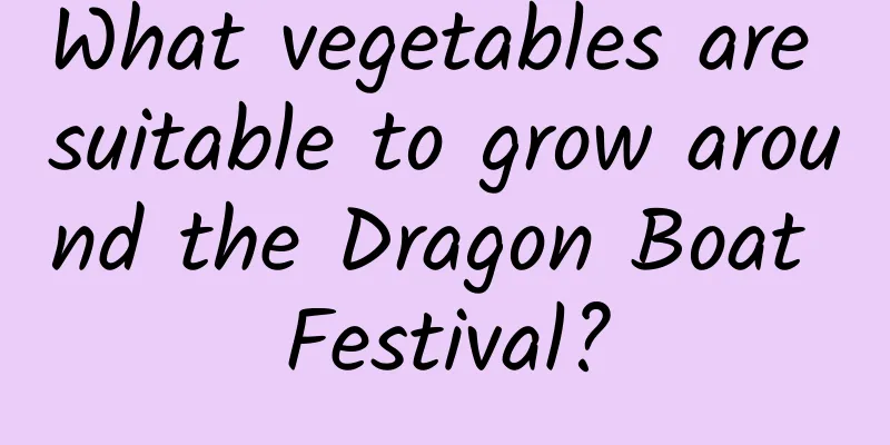 What vegetables are suitable to grow around the Dragon Boat Festival?