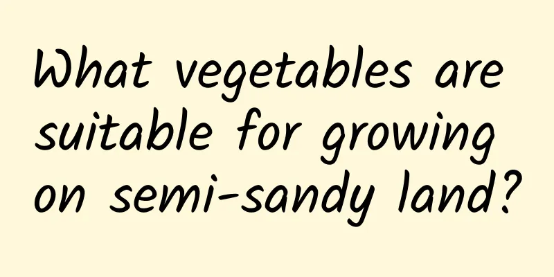 What vegetables are suitable for growing on semi-sandy land?
