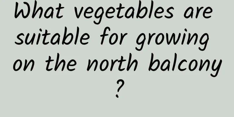 What vegetables are suitable for growing on the north balcony?