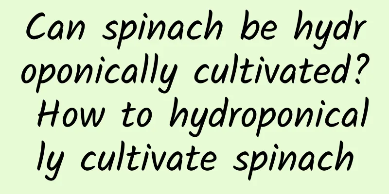 Can spinach be hydroponically cultivated? How to hydroponically cultivate spinach