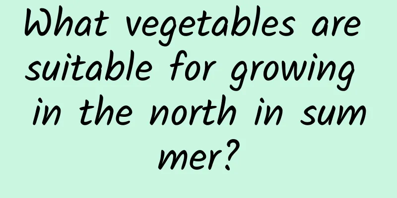 What vegetables are suitable for growing in the north in summer?