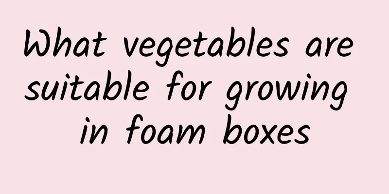 What vegetables are suitable for growing in foam boxes