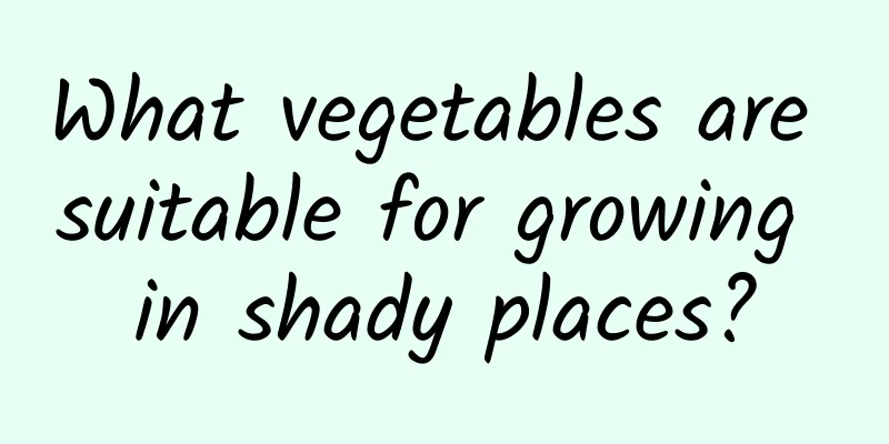 What vegetables are suitable for growing in shady places?