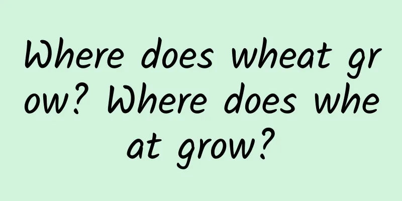 Where does wheat grow? Where does wheat grow?
