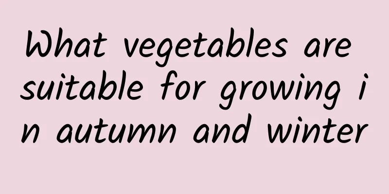 What vegetables are suitable for growing in autumn and winter