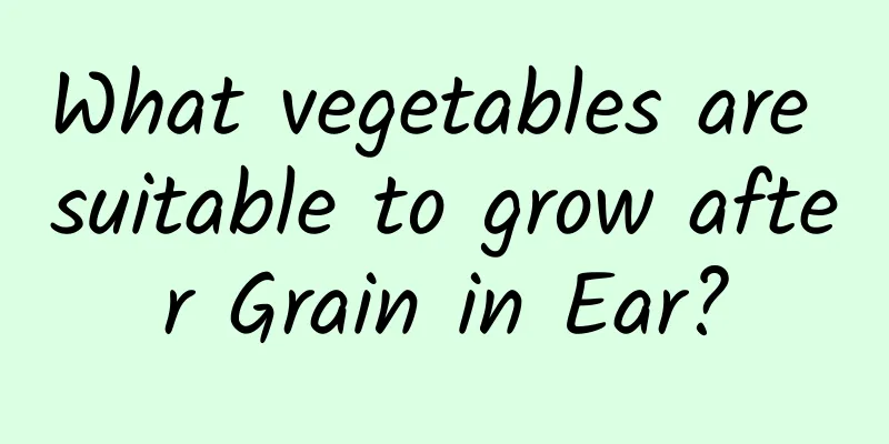 What vegetables are suitable to grow after Grain in Ear?