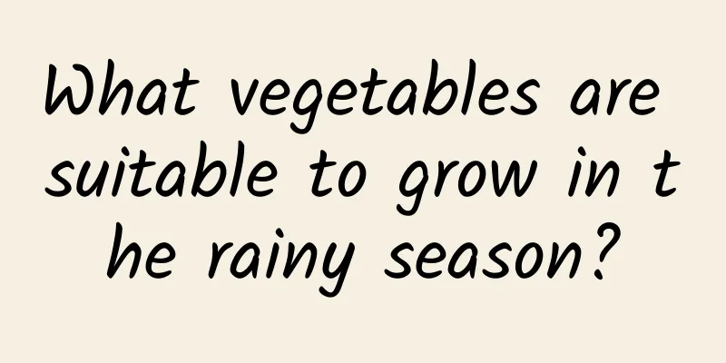 What vegetables are suitable to grow in the rainy season?