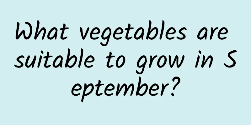 What vegetables are suitable to grow in September?