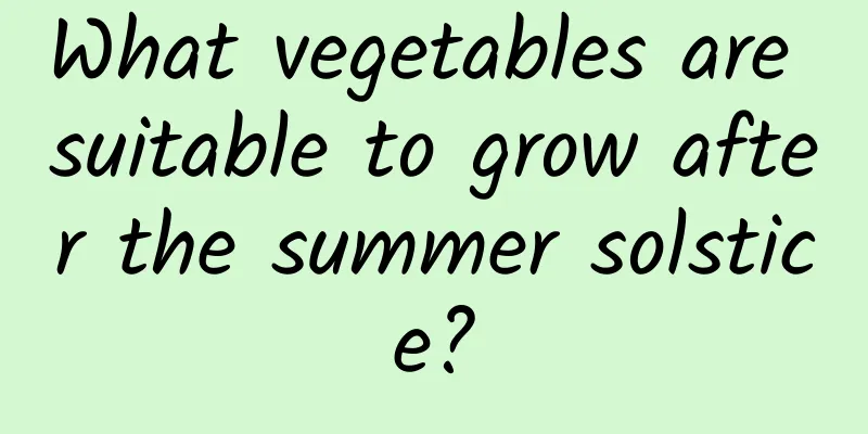 What vegetables are suitable to grow after the summer solstice?