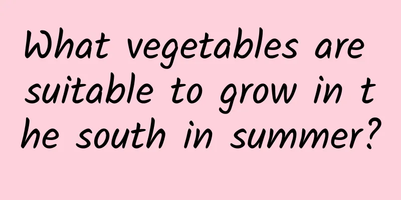 What vegetables are suitable to grow in the south in summer?